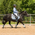 WB 2 RW Schritt/ Trab