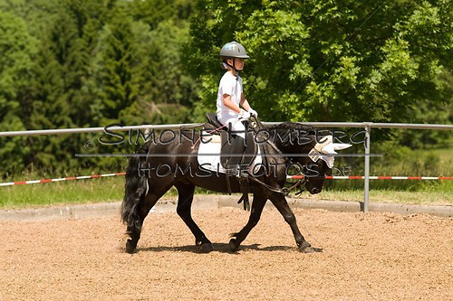 (c)SimoneHomberg_Ponyfest_So_20150607_0122