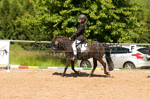 (c)SimoneHomberg_Ponyfest_So_20150607_0125