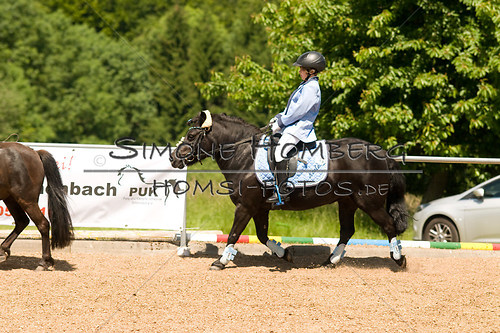 (c)SimoneHomberg_Ponyfest_So_20150607_0126