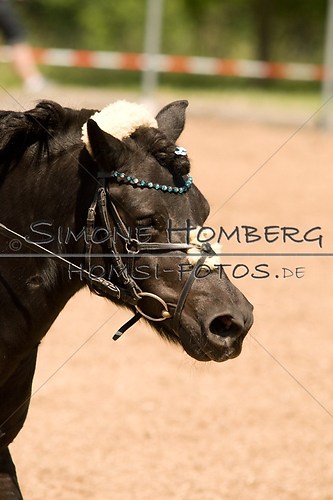 (c)SimoneHomberg_Ponyfest_So_20150607_0134