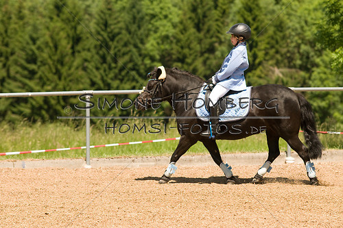 (c)SimoneHomberg_Ponyfest_So_20150607_0135