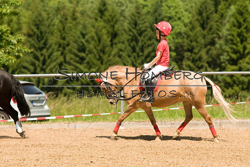 (c)SimoneHomberg_Ponyfest_So_20150607_0136