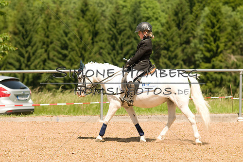 (c)SimoneHomberg_Ponyfest_So_20150607_0139