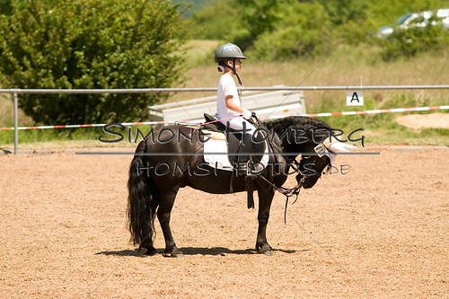 (c)SimoneHomberg_Ponyfest_So_20150607_0143