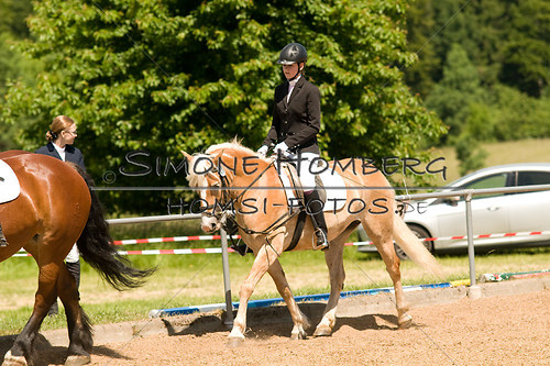 (c)SimoneHomberg_Ponyfest_So_20150607_0144