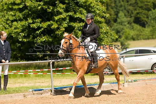 (c)SimoneHomberg_Ponyfest_So_20150607_0145