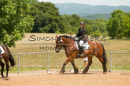 (c)SimoneHomberg_Ponyfest_So_20150607_0153