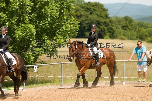 (c)SimoneHomberg_Ponyfest_So_20150607_0154