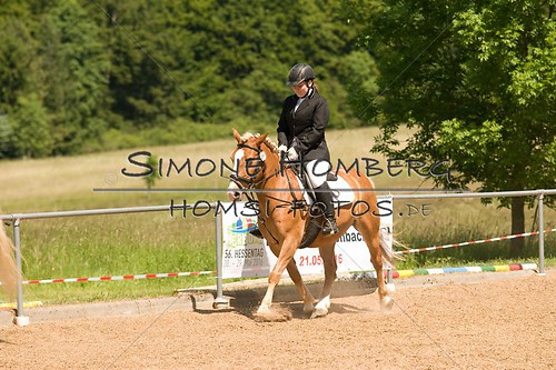 (c)SimoneHomberg_Ponyfest_So_20150607_0157