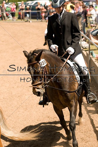 (c)SimoneHomberg_Ponyfest_So_20150607_0167