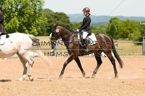 (c)SimoneHomberg_Ponyfest_So_20150607_0171