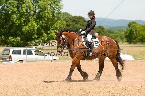 (c)SimoneHomberg_Ponyfest_So_20150607_0173