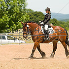 WB 1 Reiterwettbewerb