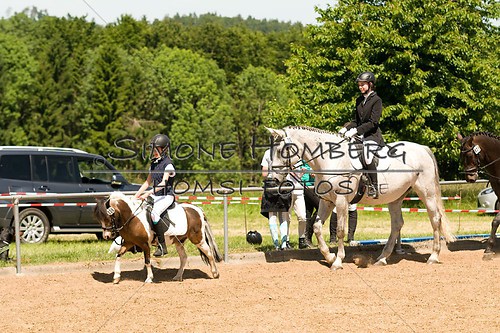 (c)SimoneHomberg_Ponyfest_So_20150607_0179