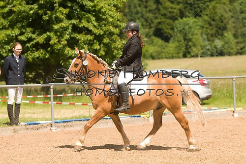 (c)SimoneHomberg_Ponyfest_So_20150607_0184