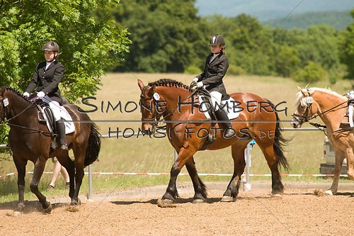 (c)SimoneHomberg_Ponyfest_So_20150607_0188