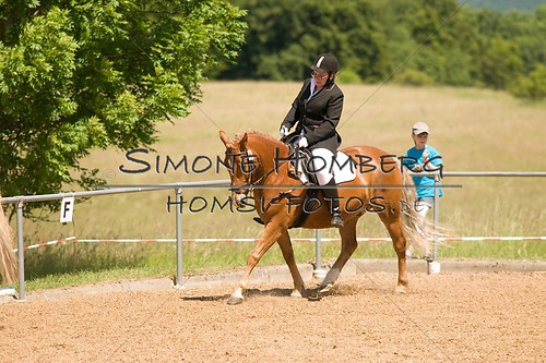 (c)SimoneHomberg_Ponyfest_So_20150607_0191