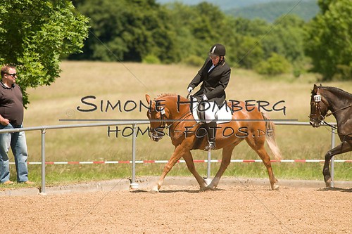 (c)SimoneHomberg_Ponyfest_So_20150607_0199