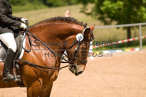 (c)SimoneHomberg_Ponyfest_So_20150607_0203