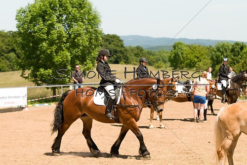 (c)SimoneHomberg_Ponyfest_So_20150607_0206