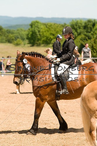 (c)SimoneHomberg_Ponyfest_So_20150607_0215