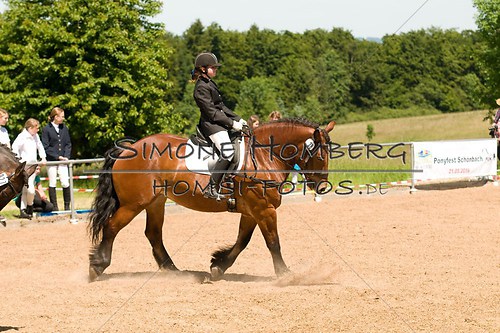 (c)SimoneHomberg_Ponyfest_So_20150607_0219