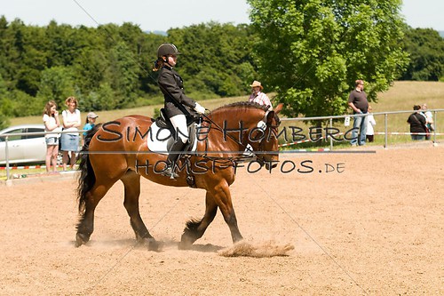 (c)SimoneHomberg_Ponyfest_So_20150607_0220