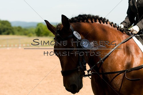 (c)SimoneHomberg_Ponyfest_So_20150607_0226