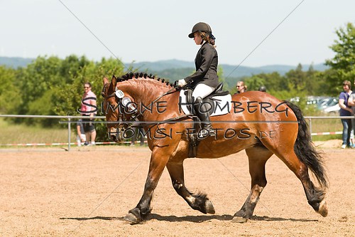 (c)SimoneHomberg_Ponyfest_So_20150607_0230