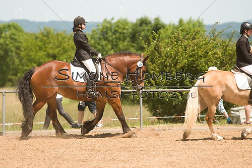 (c)SimoneHomberg_Ponyfest_So_20150607_0231