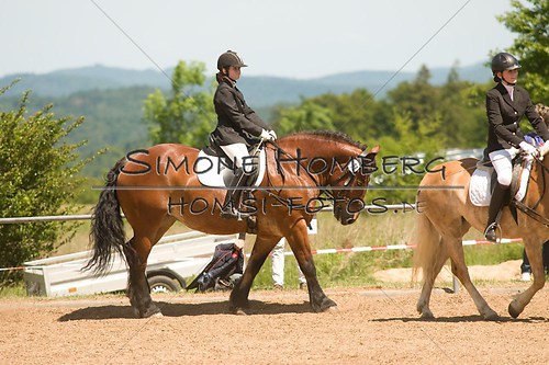 (c)SimoneHomberg_Ponyfest_So_20150607_0232