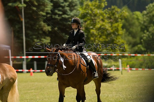 (c)SimoneHomberg_Ponyfest_So_20150607_0233