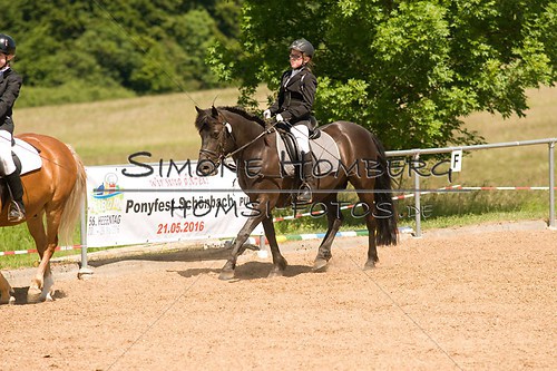(c)SimoneHomberg_Ponyfest_So_20150607_0234