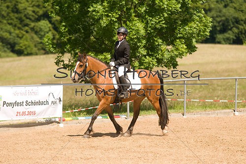 (c)SimoneHomberg_Ponyfest_So_20150607_0237