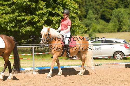 (c)SimoneHomberg_Ponyfest_So_20150607_0241