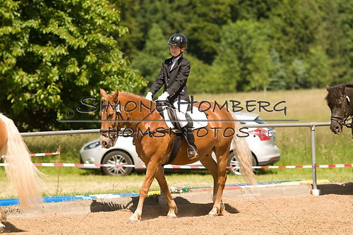 (c)SimoneHomberg_Ponyfest_So_20150607_0242