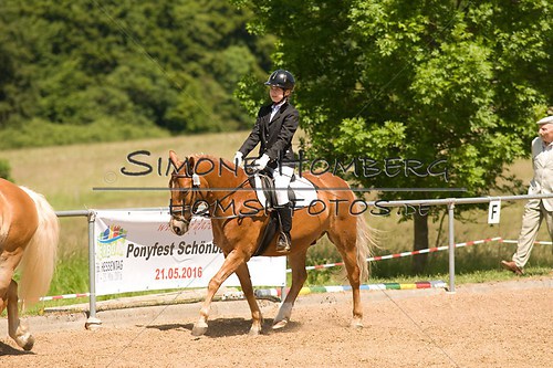 (c)SimoneHomberg_Ponyfest_So_20150607_0250