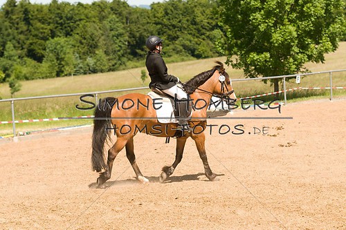 (c)SimoneHomberg_Ponyfest_So_20150607_0253