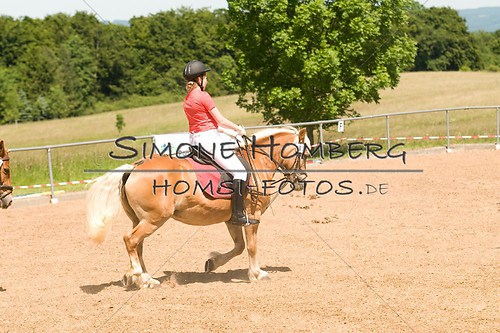 (c)SimoneHomberg_Ponyfest_So_20150607_0256