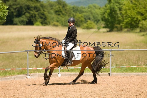 (c)SimoneHomberg_Ponyfest_So_20150607_0266