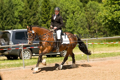 (c)SimoneHomberg_Ponyfest_So_20150607_0268