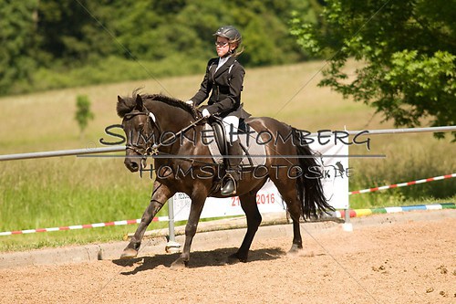 (c)SimoneHomberg_Ponyfest_So_20150607_0275