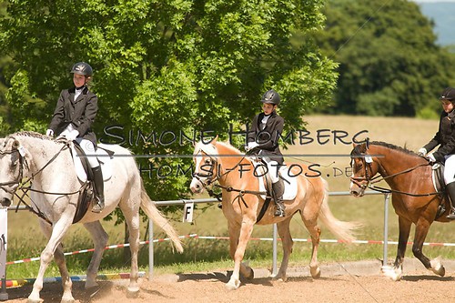 (c)SimoneHomberg_Ponyfest_So_20150607_0291