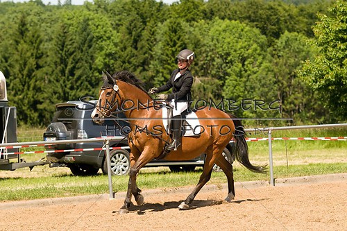 (c)SimoneHomberg_Ponyfest_So_20150607_0294