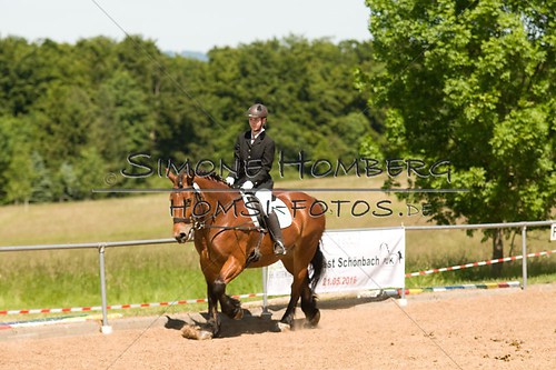 (c)SimoneHomberg_Ponyfest_So_20150607_0305