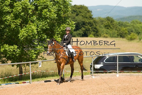 (c)SimoneHomberg_Ponyfest_So_20150607_0306