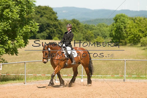 (c)SimoneHomberg_Ponyfest_So_20150607_0313