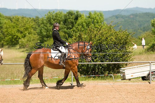 (c)SimoneHomberg_Ponyfest_So_20150607_0323