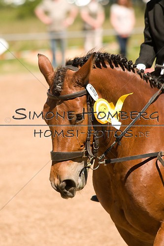 (c)SimoneHomberg_Ponyfest_So_20150607_0325